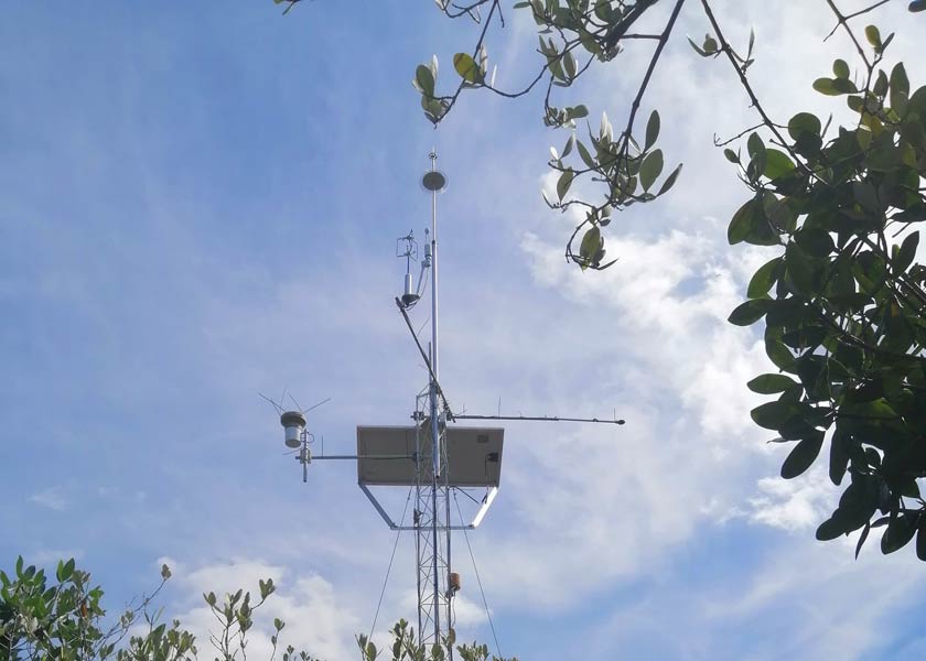 Sitio de monitoreo ecohidrológico establecido por el LIPC en Sisal