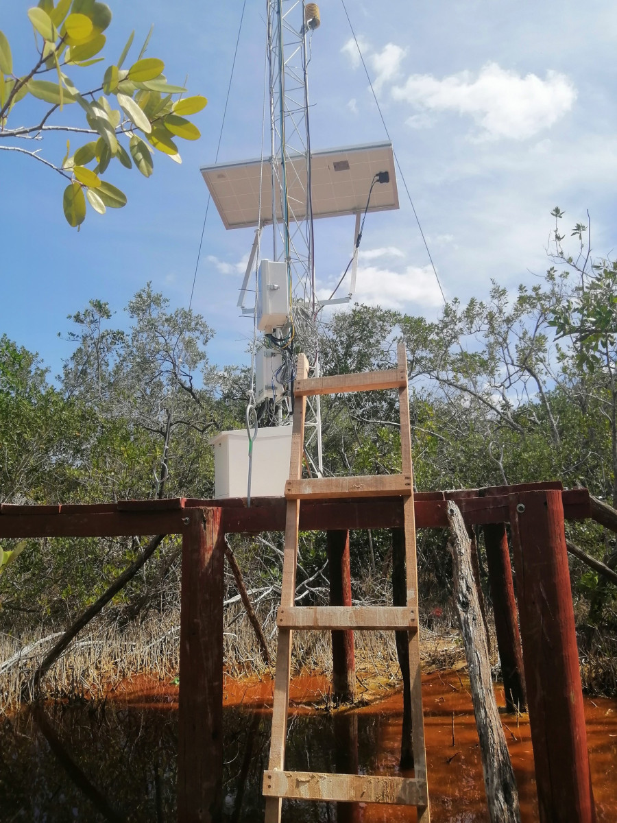 Sitio de monitoreo Ecohidrólógico establecido por el LIPC en el ejido de Sisal_01