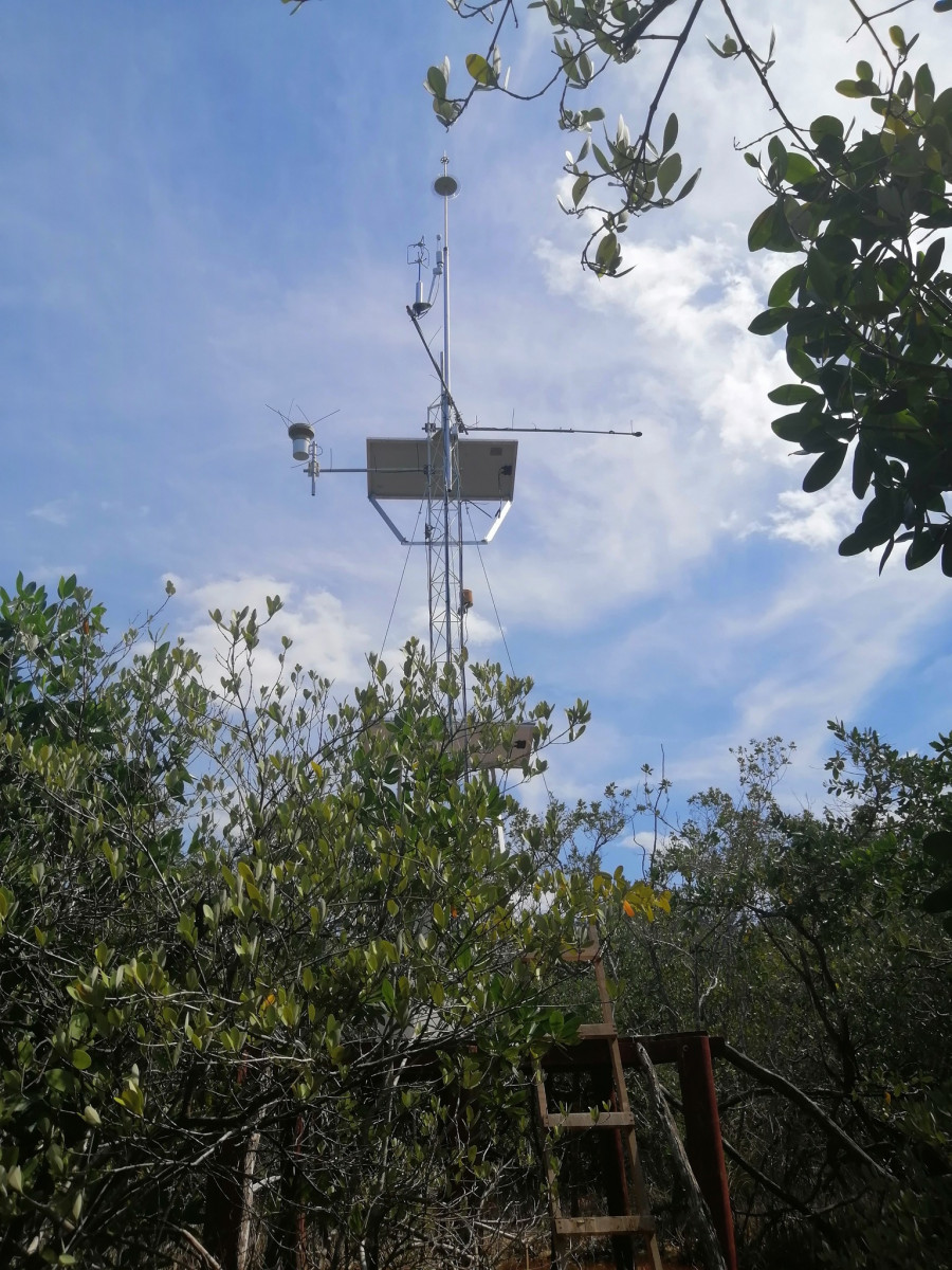 Sitio de monitoreo Ecohidrólógico establecido por el LIPC en el ejido de Sisal_02